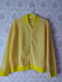 Item thumbnail for item 2cfc2fa3-5d87-4186-bb8d-975b9a7c08c1