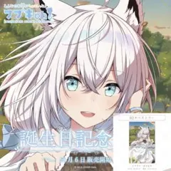 2025年最新】白上フブキ タペストリーの人気アイテム - メルカリ