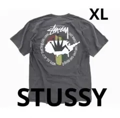 Stussy ／live clean pigment dyed Tシャツ