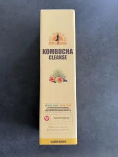 2025年最新】イラン アガベの人気アイテム - メルカリ