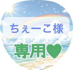 ちぇーこ様専用ページ