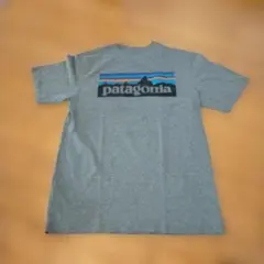 Patagonia P-6 Logo Pocket T-Shirt Gray