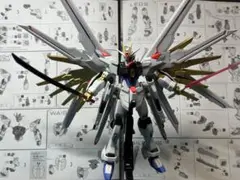 全塗装！！！ガンプラHG 1/144 マイティーストライクフリーダムガンダム