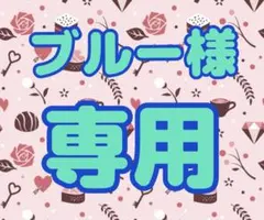 ブルー様専用　おまとめ　ガチャ