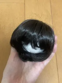 Hannasu ドール ウィッグ HW-1077 DeepBlack