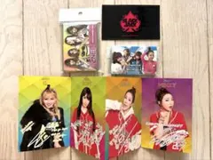 2NE1 グッズ　ファンクラブ特典 （キーホルダー・チャーム・ポーチ・会報) 2NE1 ファンクラブ特典 （キーホルダー・チャームセット・ポーチ・会報