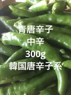 青唐辛子　中辛　300gのサムネイル