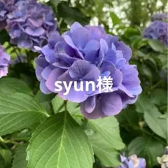 【No.a58】天然石チャーム