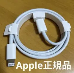 Apple 正規品iphone ライトニングケーブル 充電器 急速 純正品　5