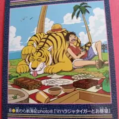 ONE PIECE ビジュアルアドベンチャー 8 マハラジャタイガーとお昼寝 ONE PIECE ビジュアルアドベンチャー 8 マハラジャタイガーとお昼寝