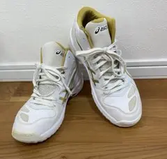 ASICS アシックス　バスケット　 ゲルフープ　GEL HOOP 25.5cm
