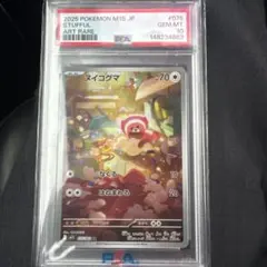 ヌイコグマ AR PSA10 - メルカリ
