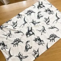 ランチョンマット ランチマット　40×60 ナフキン 小学校　給食セット