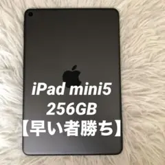 【完動品】iPad mini5 256GB Wi-Fi 【すぐ発送】