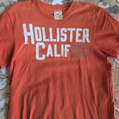 Hollister オレンジ Tシャツ M