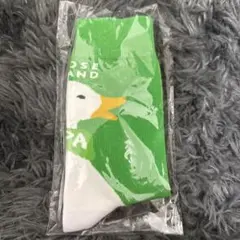 グースアイランド　ソックス　公式グッズ