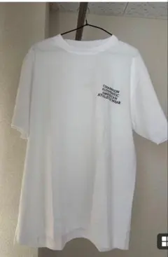 Champion Tシャツ　ワンポイントオシャレすぎる