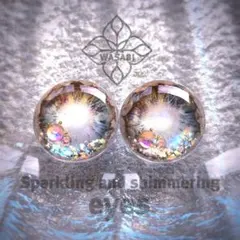 WASABI m185 ブライス アイシードール アイチップ