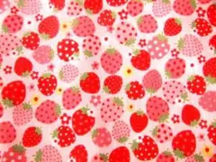 レア！廃盤・松山敦子・３０’ｓ・ファンシーベリー・一番人気のレッド（ピンク地