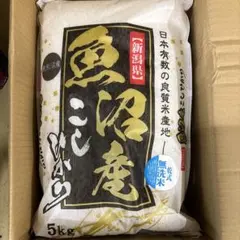 新潟県 魚沼産こしひかり 10㎏ 無洗米 【梱包未開封保管品 