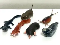 2025年最新】チョコエッグ日本の動物コレクション第3弾の人気