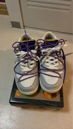 NIKE OFF-WHITE DUNK LOW スニーカー