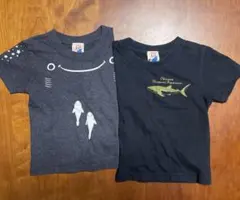 Item thumbnail for item ee5c7dd7-61d3-4984-8766-84c473c2caf4