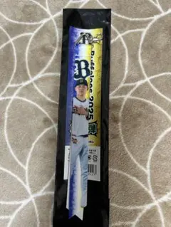 オリックスバファローズ　フォトボンフィン　元謙太