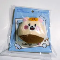 NCT DREAM Dreamiez マスコット バッジ ぬいぐるみ チソン