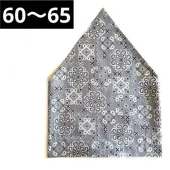 Item thumbnail for item 95761cfb-cca2-4c24-b652-04a99c8789d8