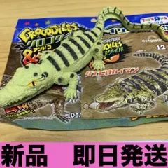 クロコダイル&co. アンドコ　クチビロカイマン