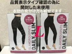 値下げ不可　管理③【開封し検品済】2点　デイリースリム レギュラー　Ｌ