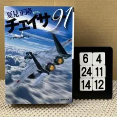 チェイサー91 6-4*2414*12