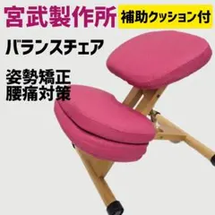 2026年最新】プロポーションチェア 宮武製作所の人気アイテム - メルカリ