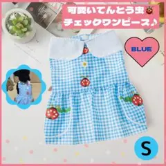 犬 服 ワンピース 夏 チェック てんとう虫 薄手 青 小型犬 S