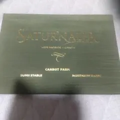 SATURNALIA 2歳新馬 サートゥルナーリア