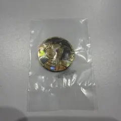 ポケモンコインコレクション カイリュー