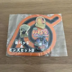 劇場版NARUTO 大活劇！雪姫忍法帖だってばよ‼︎ ピンバッジセット B