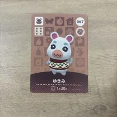 どうぶつの森 amiiboカード　ゆきみ