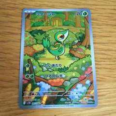 ポケモンカード　ツタージャ　ar