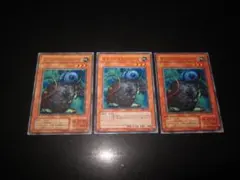 イリュージョン・シープ　整理番号、764-6