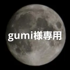 gumi様専用ページ