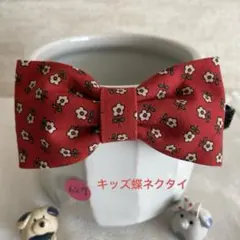 Item thumbnail for item d8529e01-e6f6-41e7-98d1-35b6177a5413