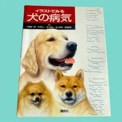 イラストでみる犬の病気 - メルカリ