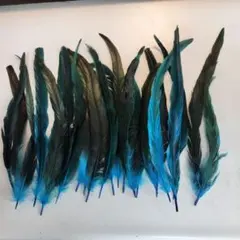 Item thumbnail for item bab4ccd7-565f-4b9d-8c88-9608a0e4c91b