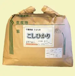 新潟県産 こしひかり 15kg - メルカリ