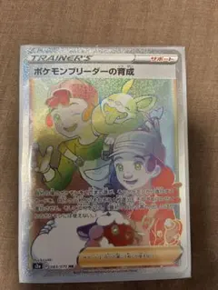 ポケモンブリーダーの育成 HR ソード&シールド 強化拡張パック 爆炎ウォーカ…のサムネイル