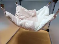 Item thumbnail for item 38a602aa-f1dd-4f48-8bf4-7165bebaa573