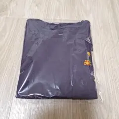 THE NORTH FACEフラッシュ ドライフラワー ロゴ TシャツL　 紫