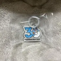 ポケモン 30周年メタルチャームマスコット めじるしアクセサリー